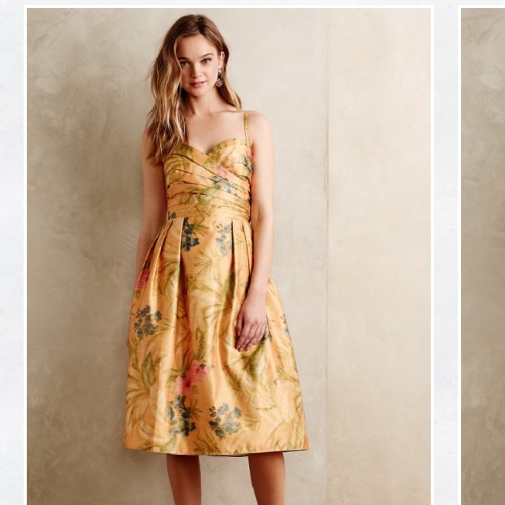 Anthropologie botanica dress